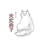 猫三昧【よく使う言葉編】（個別スタンプ：12）