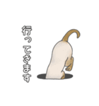 猫三昧【よく使う言葉編】（個別スタンプ：17）