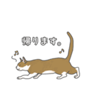 猫三昧【よく使う言葉編】（個別スタンプ：18）