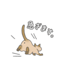 猫三昧【よく使う言葉編】（個別スタンプ：19）