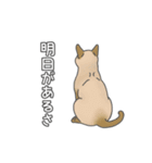 猫三昧【よく使う言葉編】（個別スタンプ：23）