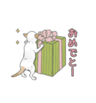 猫三昧【よく使う言葉編】（個別スタンプ：27）