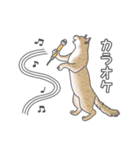 猫三昧【よく使う言葉編】（個別スタンプ：31）