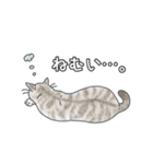 猫三昧【よく使う言葉編】（個別スタンプ：32）