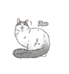 猫三昧【よく使う言葉編】（個別スタンプ：37）