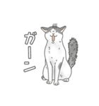 猫三昧【よく使う言葉編】（個別スタンプ：38）