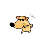 犬のたろう（個別スタンプ：13）