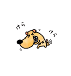 犬のたろう（個別スタンプ：24）