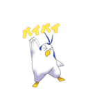 テトラペンギン2（個別スタンプ：6）