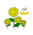Hello Country Language（個別スタンプ：14）
