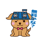 バリュー犬 ゼロとハーフの生活（個別スタンプ：4）