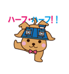 バリュー犬 ゼロとハーフの生活（個別スタンプ：6）