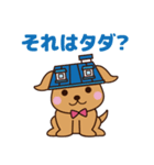 バリュー犬 ゼロとハーフの生活（個別スタンプ：28）