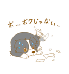 ボーダー・コリーファミリー（個別スタンプ：25）