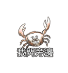 Happy Sea Friends（個別スタンプ：6）