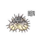 Happy Sea Friends（個別スタンプ：11）