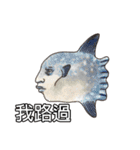 Happy Sea Friends（個別スタンプ：16）
