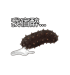 Happy Sea Friends（個別スタンプ：22）