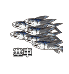 Happy Sea Friends（個別スタンプ：23）