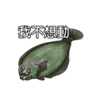 Happy Sea Friends（個別スタンプ：31）