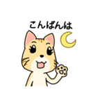 ていねいごねこ-丁寧語ネコちゃんスタンプ（個別スタンプ：3）