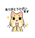 ていねいごねこ-丁寧語ネコちゃんスタンプ（個別スタンプ：5）