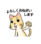 ていねいごねこ-丁寧語ネコちゃんスタンプ（個別スタンプ：7）