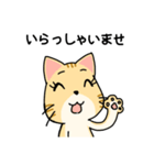 ていねいごねこ-丁寧語ネコちゃんスタンプ（個別スタンプ：25）