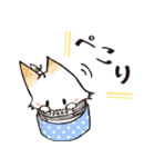 てこねこ（個別スタンプ：7）