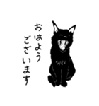 黒猫のチャコ（個別スタンプ：1）