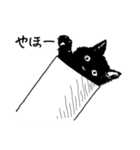 黒猫のチャコ（個別スタンプ：3）