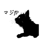 黒猫のチャコ（個別スタンプ：5）