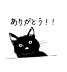 黒猫のチャコ（個別スタンプ：11）