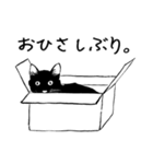黒猫のチャコ（個別スタンプ：16）