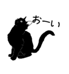 黒猫のチャコ（個別スタンプ：19）