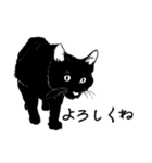 黒猫のチャコ（個別スタンプ：22）