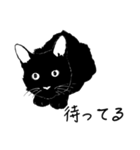 黒猫のチャコ（個別スタンプ：38）