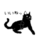 黒猫のチャコ（個別スタンプ：39）