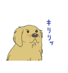 アーティのスタンプ（個別スタンプ：3）