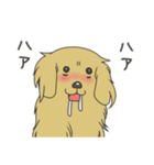 アーティのスタンプ（個別スタンプ：20）