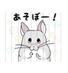 チンチラのむいむい（個別スタンプ：2）