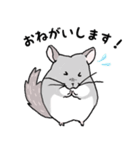 チンチラのむいむい（個別スタンプ：7）