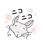 チンチラのむいむい（個別スタンプ：11）