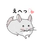 チンチラのむいむい（個別スタンプ：12）
