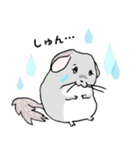 チンチラのむいむい（個別スタンプ：21）