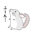 チンチラのむいむい（個別スタンプ：27）