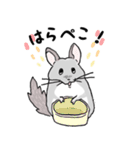 チンチラのむいむい（個別スタンプ：31）
