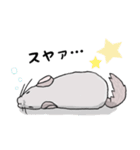 チンチラのむいむい（個別スタンプ：34）
