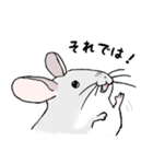 チンチラのむいむい（個別スタンプ：36）
