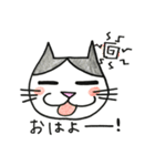 ぽちゃねこキアラ（個別スタンプ：1）